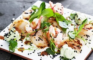 Carpaccio på norska pilgrimsmusslor med sesamdressing och wasabicrème